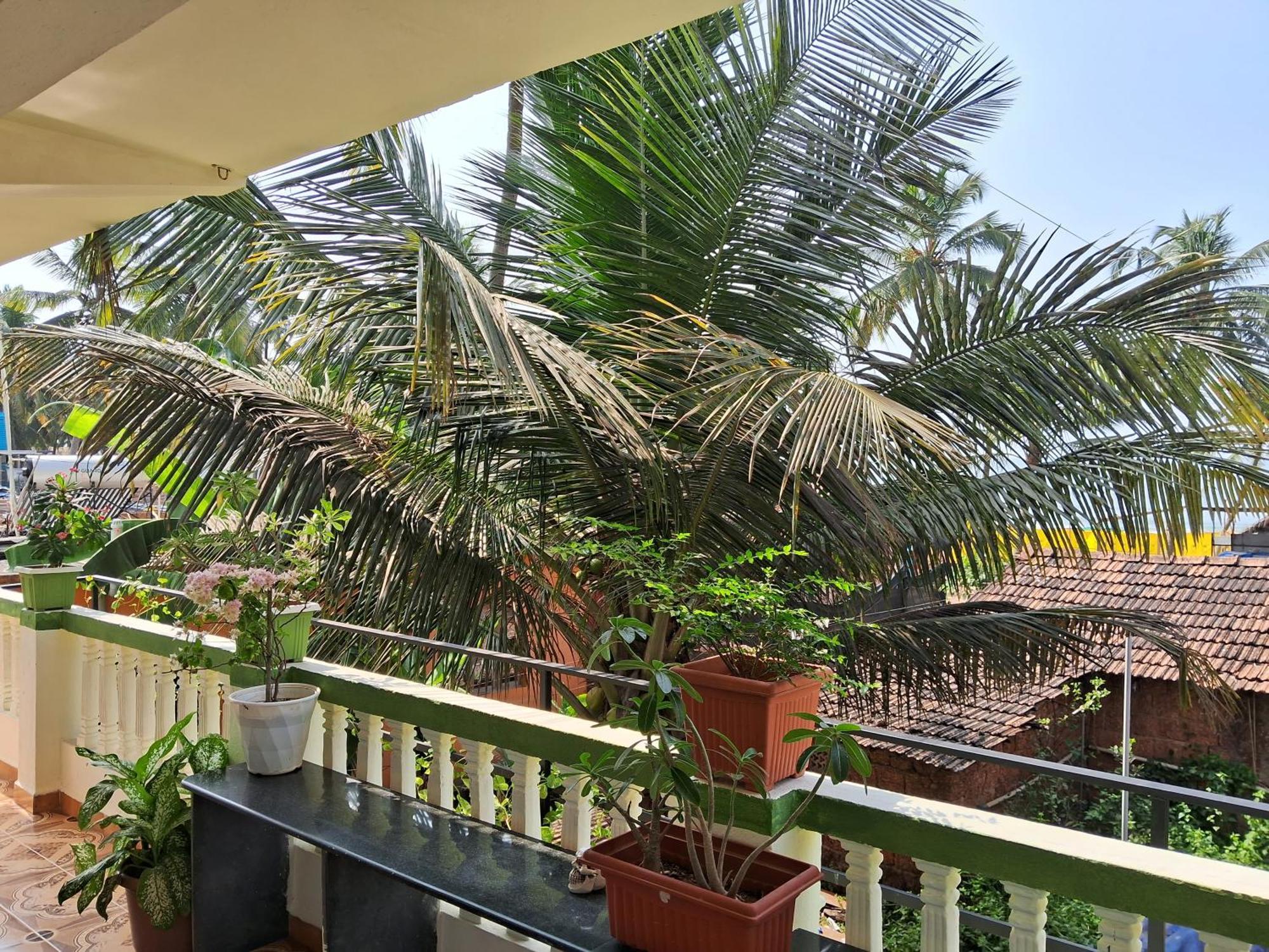 Cupid's Heaven Agonda